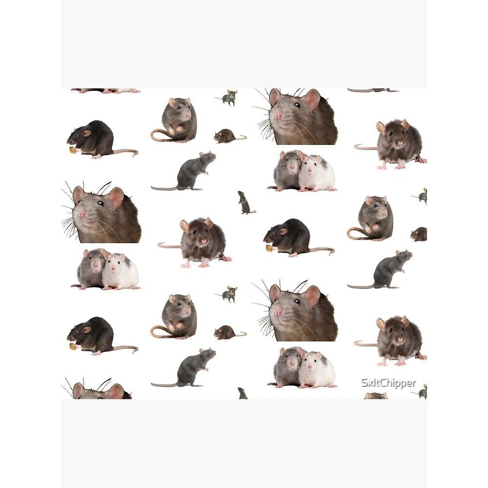 

Tapestry rat set 75x100 чёрный