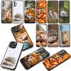 Phone Cover Hedgehog Fox Coque for Samsung Galaxy S25 S24 S22 S23 FE Ultra Plus A56 A05 A06 A15 A16 A55 S7 Edge Case