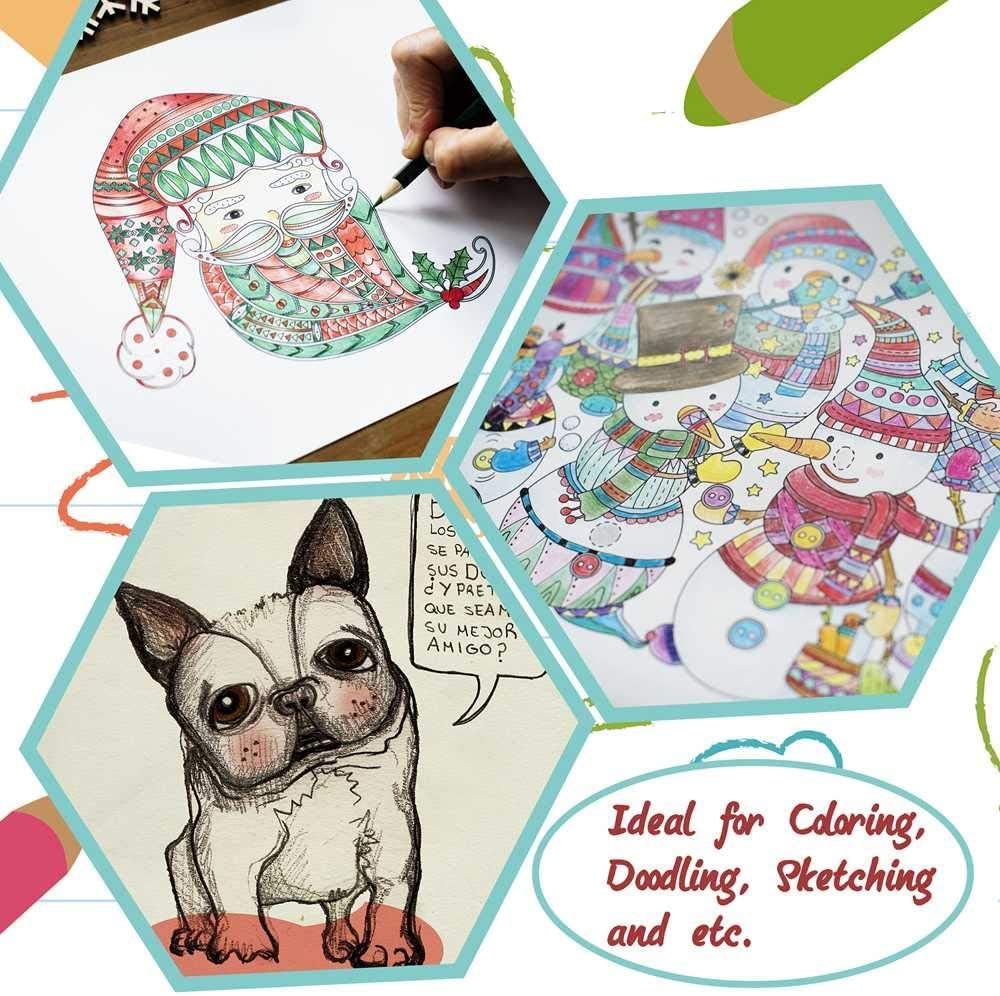 Feela Metallic Coloré pour Coloriage Adulte Comprend un Crayon et avec Rangement Cadeau pour Comprend une Liste de Couleurs Crayons, à Base d'Huile, Ensemble de 152 Couleurs, Couleurs,