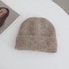 Metal Label Knitted Hats for Women's Autumn and Winter New Products Warm and Thickened Cold Hats  Face Enhancing Small Ear Protecting Hats