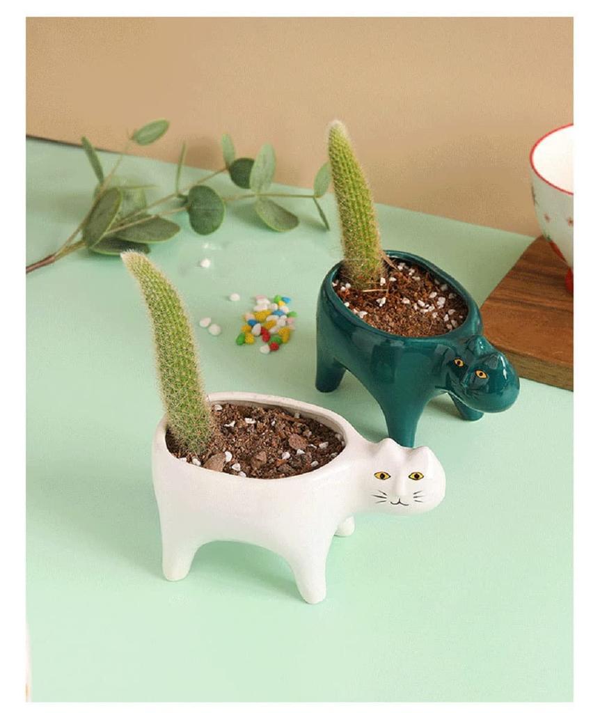 siawadeky Cute Cat Flower Pots Set of 2 Succulent Pots Ceramic Pots Cat Planter Succulents Cactus Cat Tail Cat Planter Pot Decoration Cat Herb Planter
