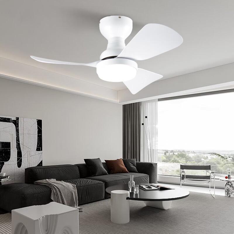 MengPao Modern Simple Fan Lamp