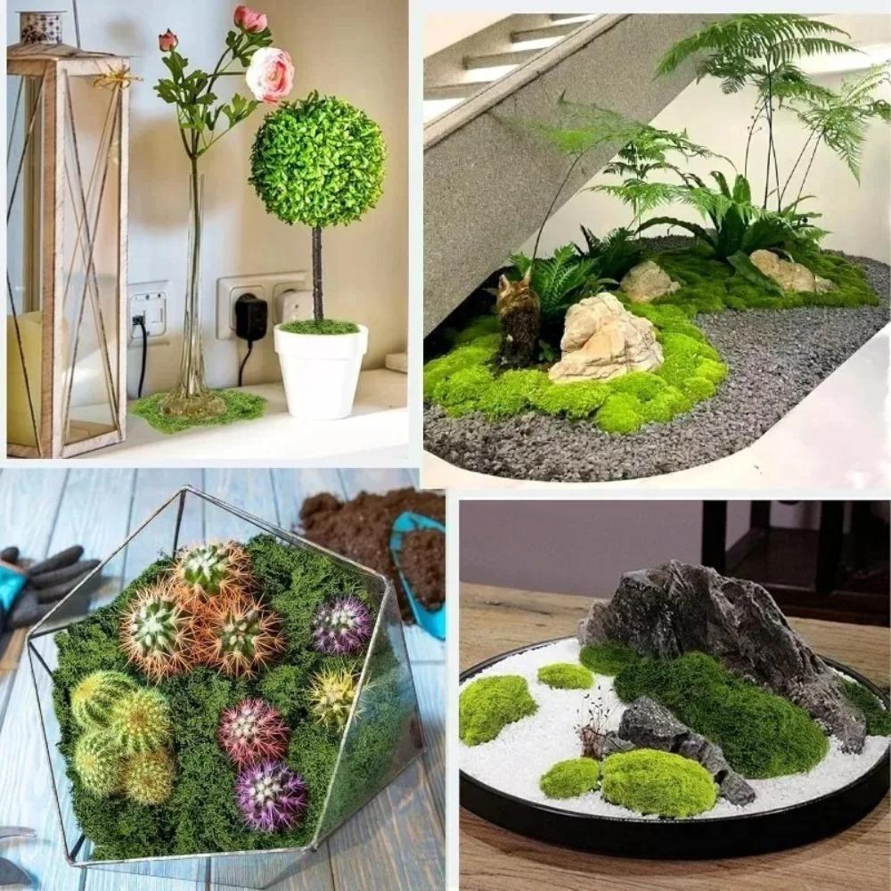 100G Artificial Moss Mini Landscape Green Moss Miniature Scene Moss Terrarium DIY Craft Preserved Plant Moss Garden Decor