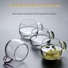 ZISIZ Glass Teacup with Handle