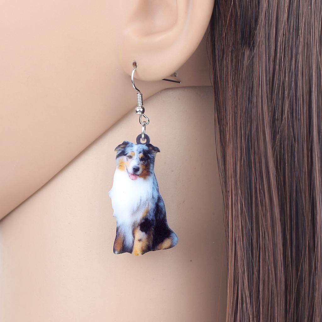 australian shepherd accessories