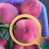 13 Piezas 30-120 Mm Plástico Fruta Medición Diámetro de la Tapa Calibres Círculo de Medición Regla Herramienta de Medición de Tamaño Equipo de Clasificación de Cítricos