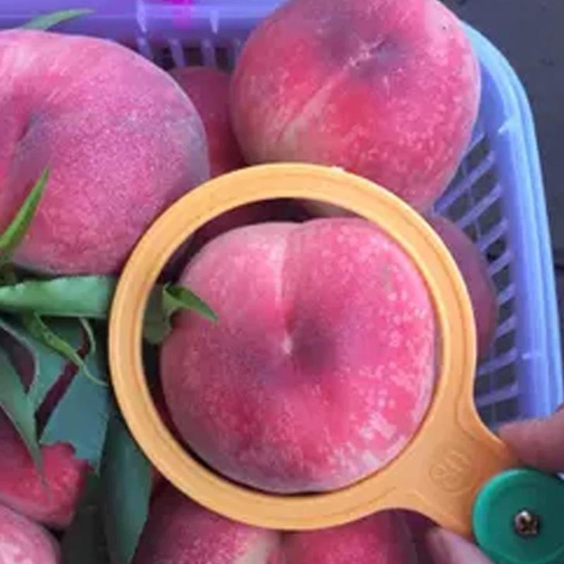 13 Piezas 30-120 Mm Plástico Fruta Medición Diámetro de la Tapa Calibres Círculo de Medición Regla Herramienta de Medición de Tamaño Equipo de Clasificación de Cítricos