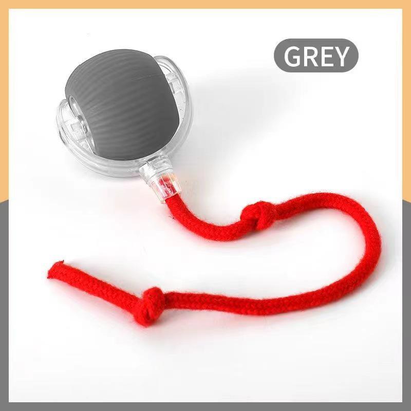 Plush Squeaky Dog & Cat Chew Toys - Durable Teething Pet Supplies