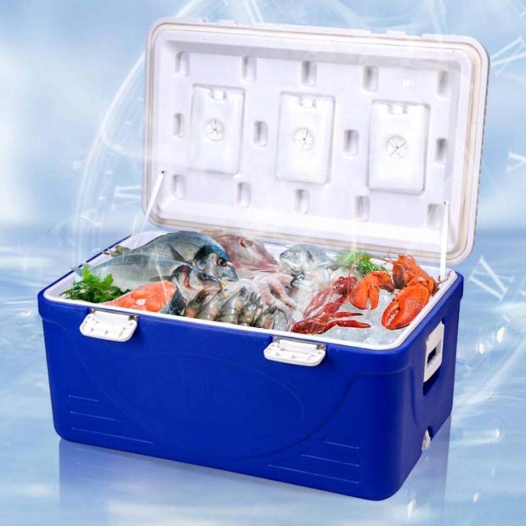 Plastic Cooler Box Top-Opening Hard-Sided Cooler Box Portable Ice Chest Front Latches Camping Gear Carry Handles