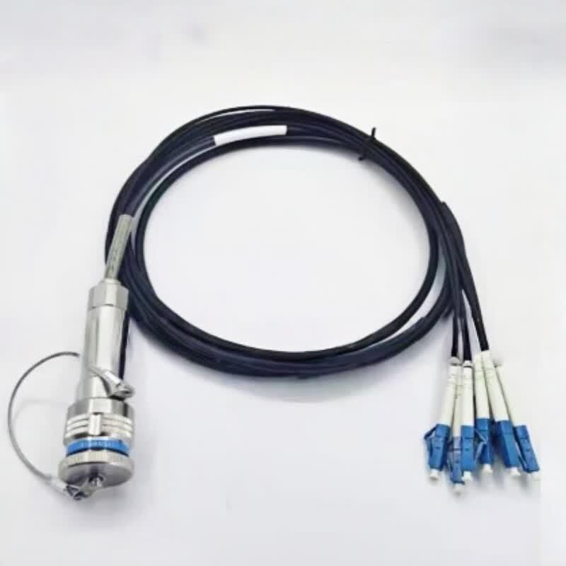 Lixian Fiber Optic Cable Assembly