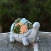 Yousheng Solar Turtle Statue Light, Garden Resin Turtle Succulents Sculpture Solar Light, Outdoor Waterproof Solar Yard Light for Patio Lawn
