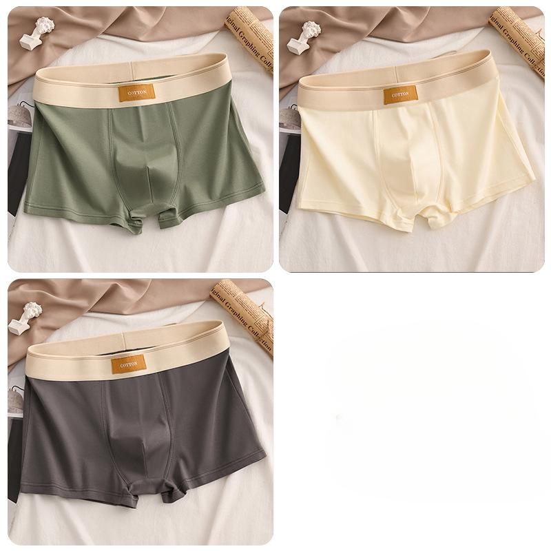 Luxury Men Underpants Man Cotton Breathable Comfortable Boxer Selling Shorts Men's Panties Plus Size Panties Underwear Gift