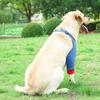 Dog Protector Front Chest Webbing Adjust Buckle Fixed Ring Comfortable Breathable After Injury Tool