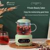 AIBEILI Electric Stew Cup Health Pot