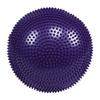Purple Soft Yoga Balance Board Disc Gym Stability Air Cushion Massage Pad without Inflator Pump