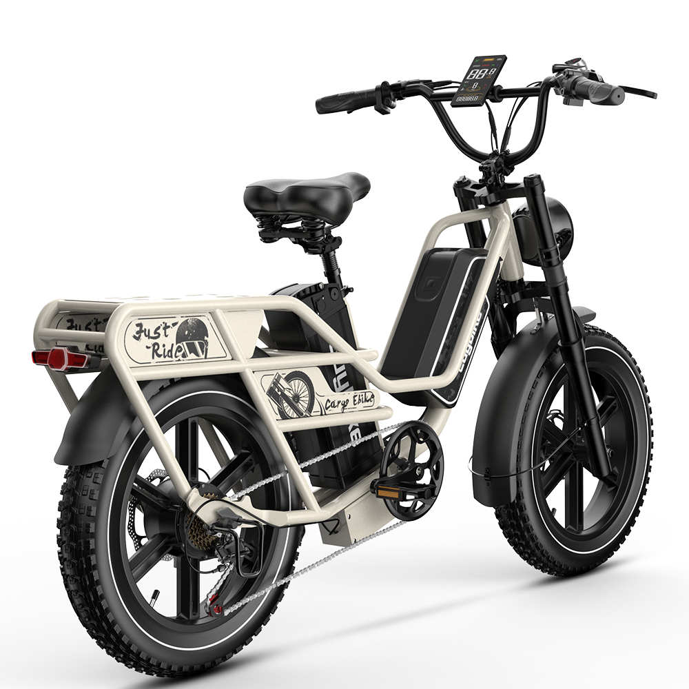 Potenza del motore della bicicletta elettrica EUYBIKE W1: 250W, Batteria: 2*48V30AH, pneumatici CST 20" x 4.0", Velocità massima: E-bike Utilitaria 25 KM/h