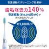 Lion Electric Assist Toothbrush with Sonic Lightweight Floss, Battery-Operated, Vibration,