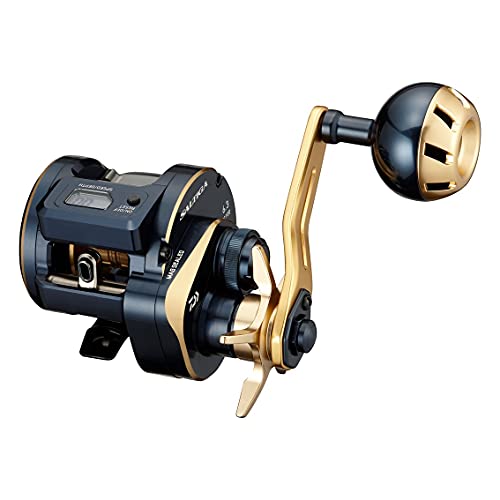

Daiwa 21 Saltiga IC 100L