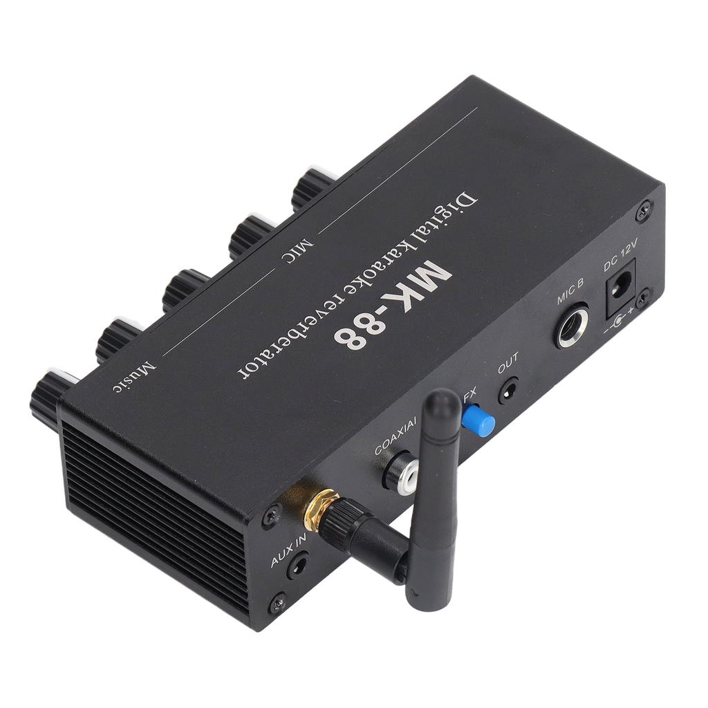 Digitaler Hallgerät Stereo-Verstärker Bluetooth 5.0 Dualer Mikrofoneingang DC 12V