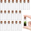 20 Pcs Small Glass Bottles with Cork, 2ml Small Tiny Glass Jars with Lids, Transparent Empty Mini Glass Bottles Spell Jars Glass Bottle