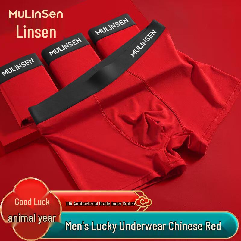 Mulinsen Men's Cotton Antibacterial Boxer Briefs