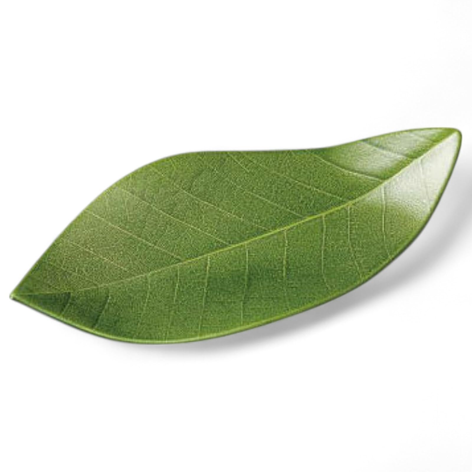 

ПЭТ Уретан Посудомоечная машина Сделано в Японии J-kitchens Тарелка, (Смола), Покрытие, Безопасный, PID-530728,