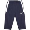 Puma Team Liga Training 3 4 Pants