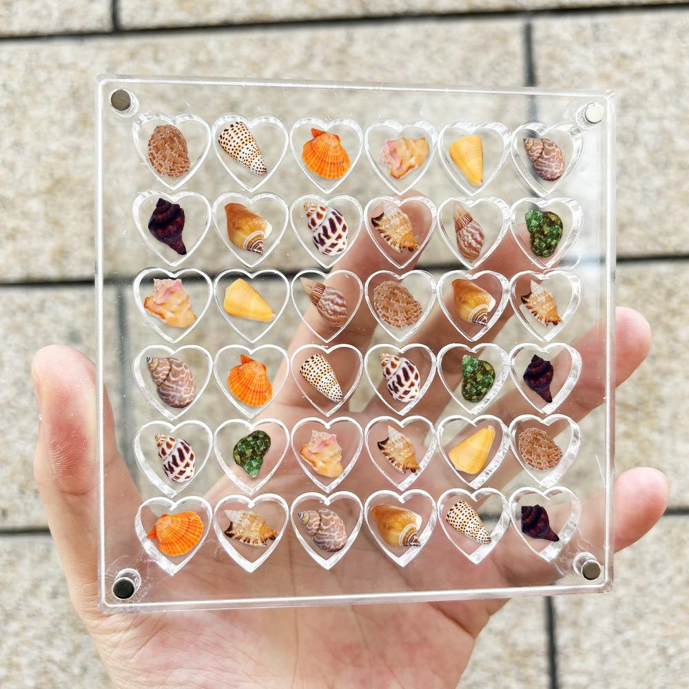 

Creative Transparent Shell Storage Box Acrylic Small Jewelry Desktop Storage Mini Diamond Jewelry Box With Lid 36/64Grids