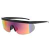 Lishi Fashion Large Frame Outdoor Sports Sunglasses