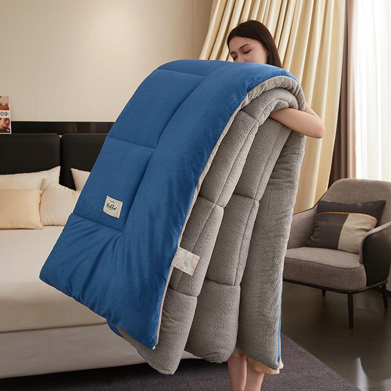 OLOEY Thick Warm Milk Velvet Lamb Velvet Winter Quilt