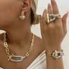 Trendy Hip-Hop Jewelry Set: Copper Zircon Pig Nose Necklace, Earrings, Ring, and Bracelet