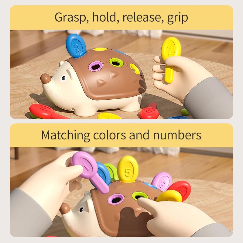 Sensory Educational Toy Hedgehog Montessori Baby Digital Color Matchingtoys Hand-Eye Coordination Develop Concentration Children