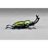 BACALYSO | Nirvana Rainbow Stag Beetle Figure, Lucanidae, 7.3cm, Includes Box, Refrigerator Attachment, Magnetic Ornament, Realistic Adult, Illustrate