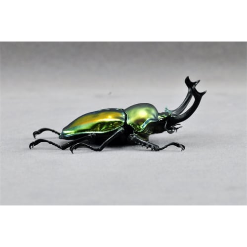 BACALYSO | Nirvana Rainbow Stag Beetle Figure, Lucanidae, 7.3cm, Includes Box, Refrigerator Attachment, Magnetic Ornament, Realistic Adult, Illustrate