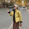Autumn Winter Thicken Warm Parka Women Casual Solid Color Loose Short Jackets Outwear