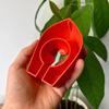 Colorful Avocado Boat-Shaped Floating Hydroponic Flower Pots Avocado Tree Growing Kit Hydroponic Seed Starter Without Seeds