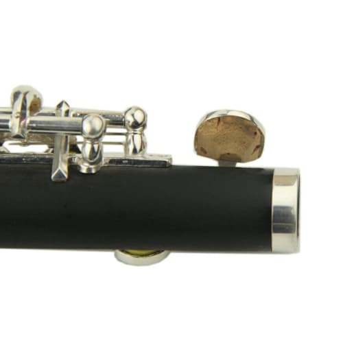 Tachiuwa C Key Flute with Carrying Case and Cleaning Cloth, Beginner Kids Gift