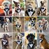 Tanpopo Formeller Hunde-Smoking Hochzeitskragen Bandana Geburtstags-Kostüm Fliege Party-Anzug Weihnachts-Feiertags-Party-Outfit Haustierhalsband