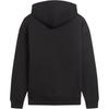 Puma Tonalscript Hoodie With Letter Embroidery And Drawstring Hooded Pullover Sweatshirt Men Hoodies Black 684401-01