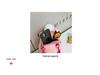 Capybara Plush Cartoon Double Shoulder Backpack - Cute Children's Bag