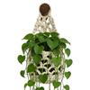 Boho Macrame Plant HangerBasket  for Succulents Cotton Rope Woven Hanging Basket with Net Pouch Home Decoration Organizer