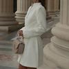 2026 Spring Women's Casual Fashion Single-Breasted Solid Dress