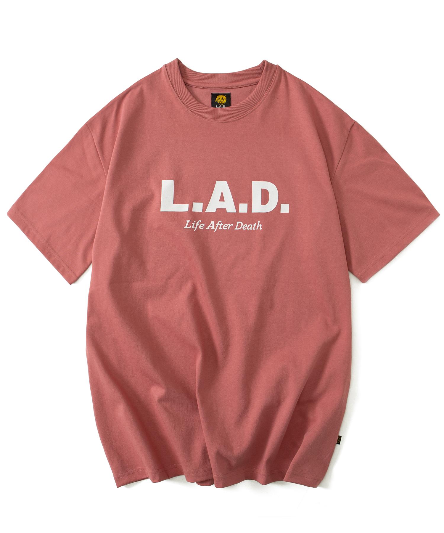 Rad Lad1001 Signature Logo Heavyweight Short Sleeve T-Shirt - Coral Red Coral Red/M
