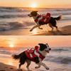 Sommer Outdoor Haustierweste: Hunde-Schwimmweste für Corgi, Shiba Inu und Französische Bulldogge
