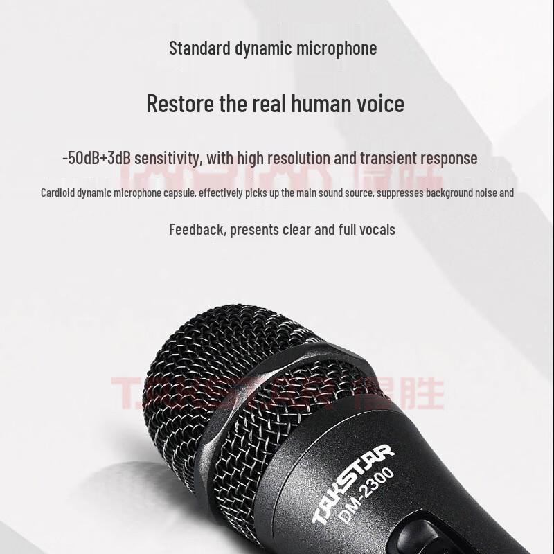 TAKSTAR OP-6 Portable Karaoke & Guitar Speaker