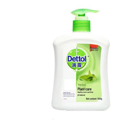 Plant Care Antibacterial Hand Soap