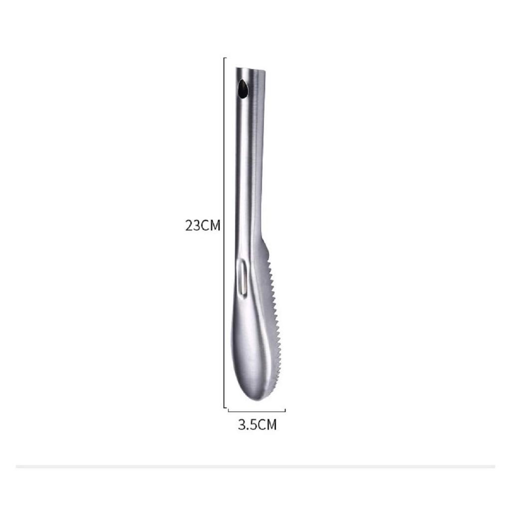 Fish Scaler Remover Cleaner With Sawtooth Easily Remove Fish Scales For Home Kitchen Fish Cleaning Seafood Tools Descaler