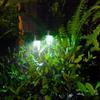 Solar Lawn Lights for Outdoor Camping and Garden Landscapes