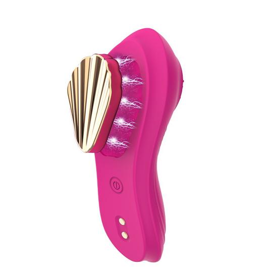 Fernbedienbarer Vibrator Magnetisch Tragbare Vibrationshöschen Mehrere Vibrationsmodi Silikon Klitoris Vagina Stimulator mit Weichen Borsten für Frauen