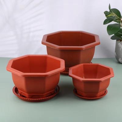 Macetas y jardineras – Contenedores para plántulas